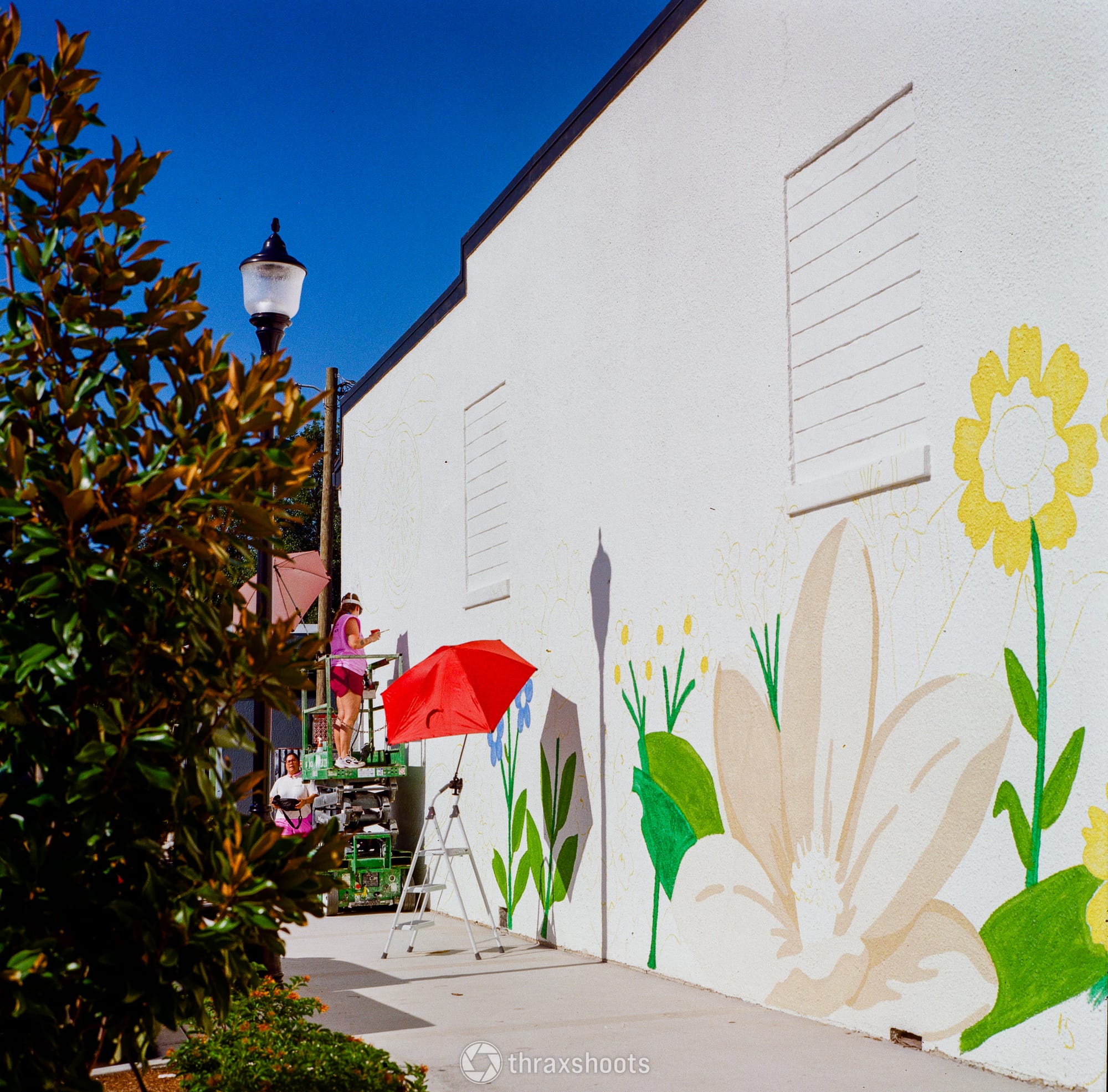 An outdoor scene showing a floral mural being painted on the side of a tall, white building under a deep blue sky. The foreground features painted graphics of a large white flower, a yellow daisy, and green leaves. Further down the sidewalk, an artist stands on a green mechanical lift working on the wall, shaded by a bright red umbrella on a stand nearby. Green leafy branches frame the left side of the shot.